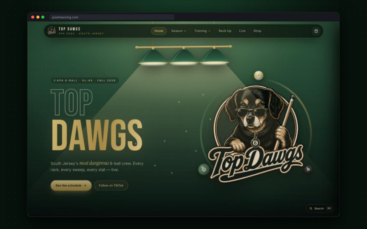 Top Dawgs pool team website